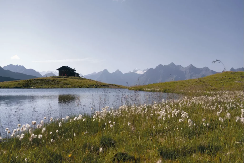 Workshops in der Natur mit Julia Moser Bergimpulse