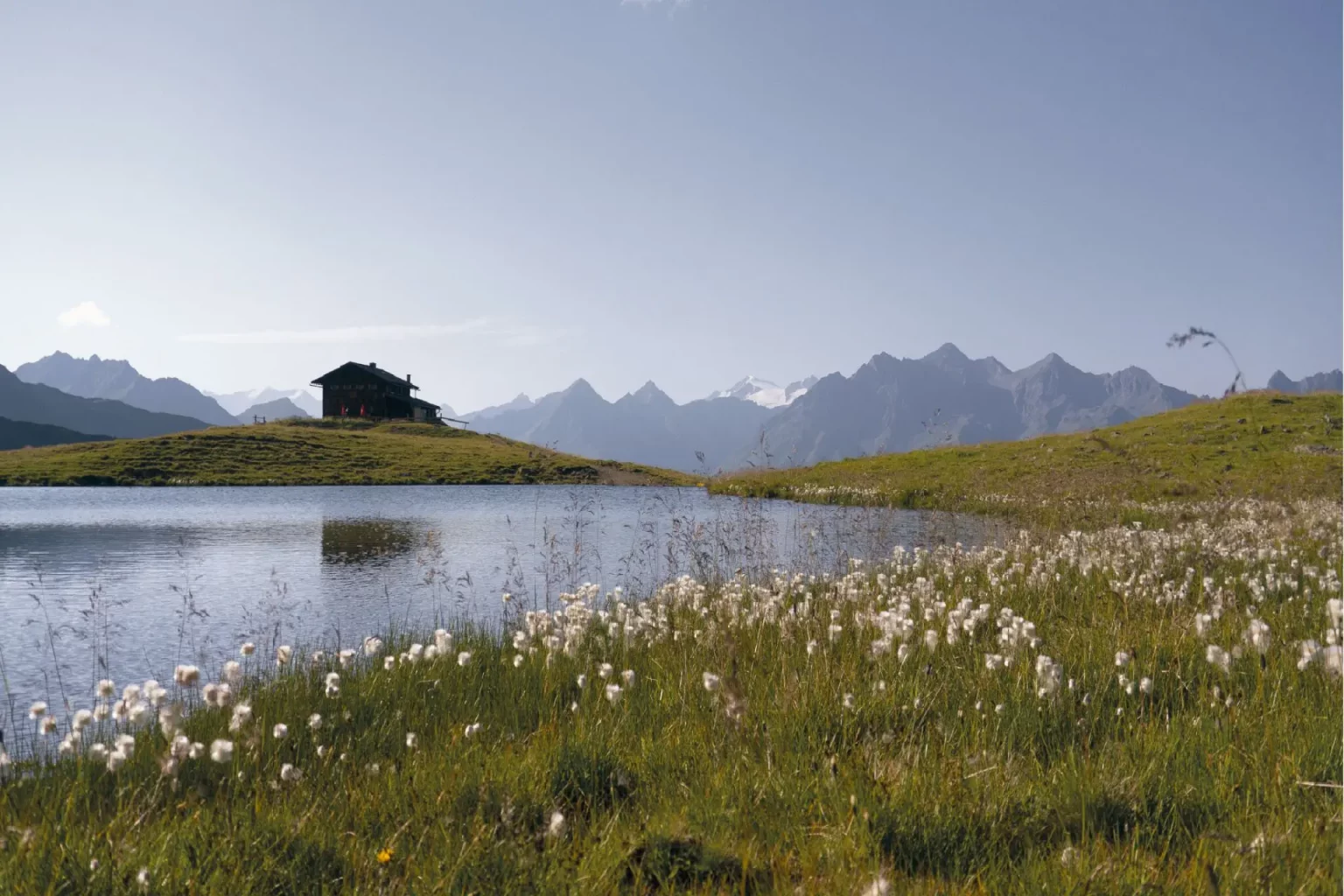 Workshops in der Natur mit Julia Moser Bergimpulse
