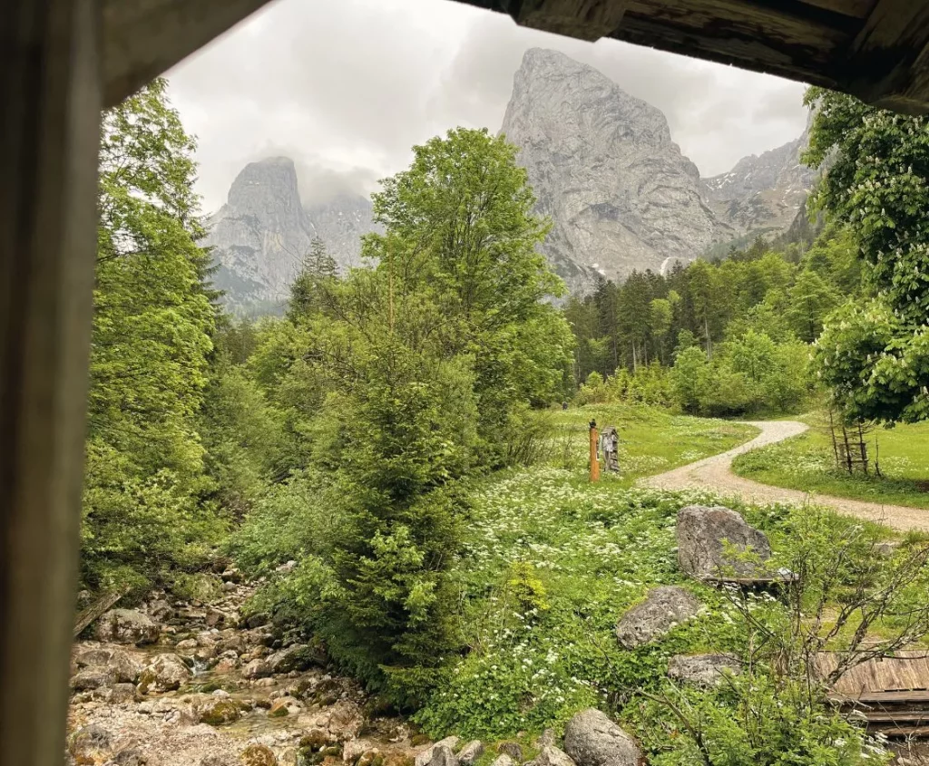 Blog Gänsehautmoment Caritas - Erfolgsstory