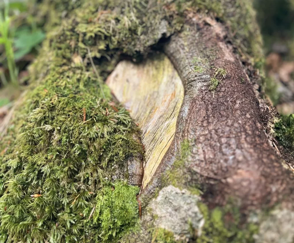 Blog Gluckstagebuch Haltung