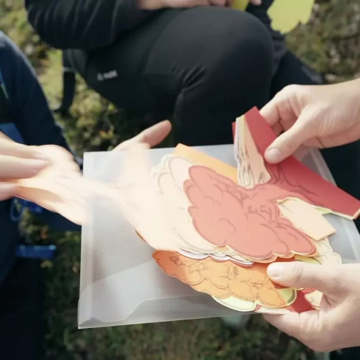 Bergimpulse Coaching und Wandern in den Alpen für Privatpersonen und Unternehmen