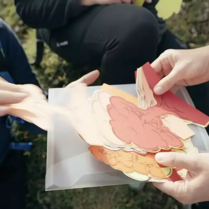 Bergimpulse Coaching und Wandern in den Alpen für Privatpersonen und Unternehmen