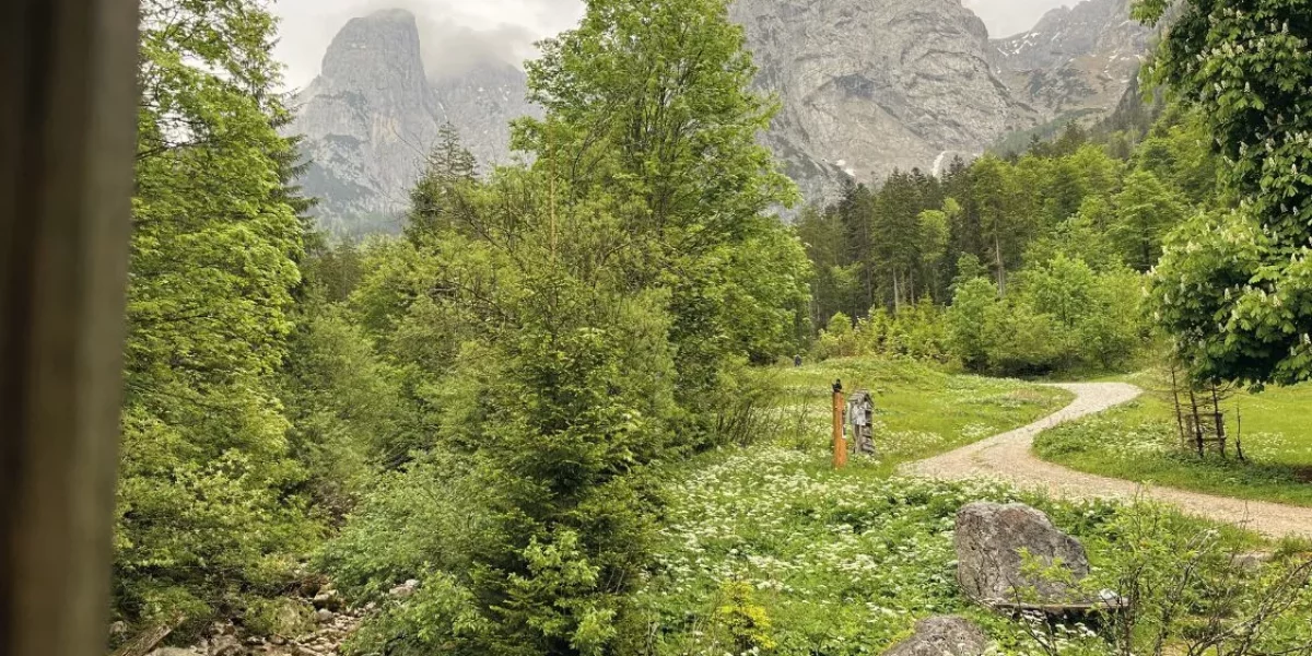 Blog Gänsehautmoment Caritas - Erfolgsstory