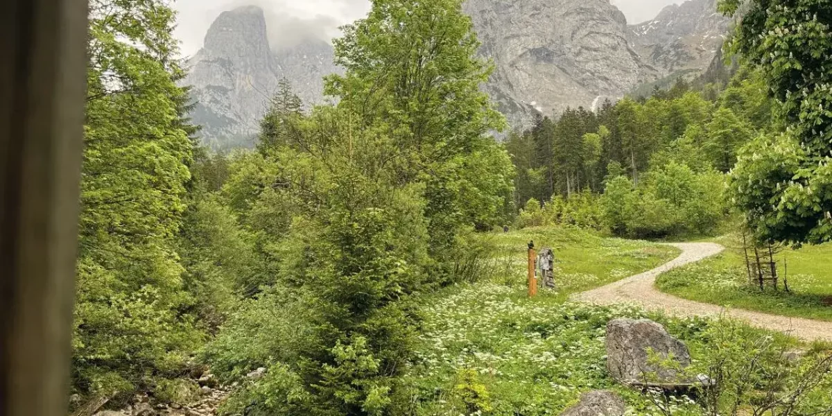 Blog Gänsehautmoment Caritas - Erfolgsstory