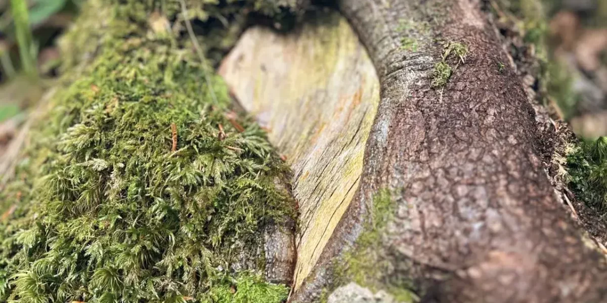 Blog Gluckstagebuch Haltung